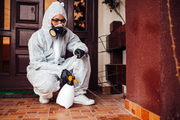 Reliable Ant Control contractor in Fullerton, NE by Nex Pest Control
